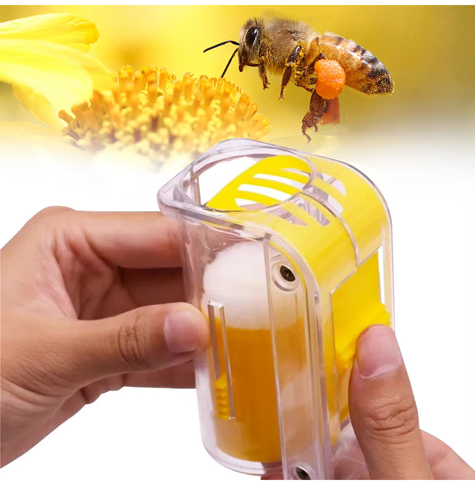 Bee Queen Marking Bottle Bee M - Embroidery Garden review and price